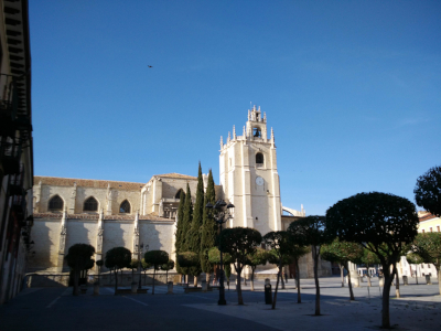 Catedral de Palencia vista desde la plaza de la inmaculada